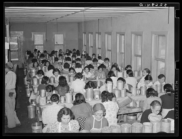 Mexican female laborers engaged in pecan shelling