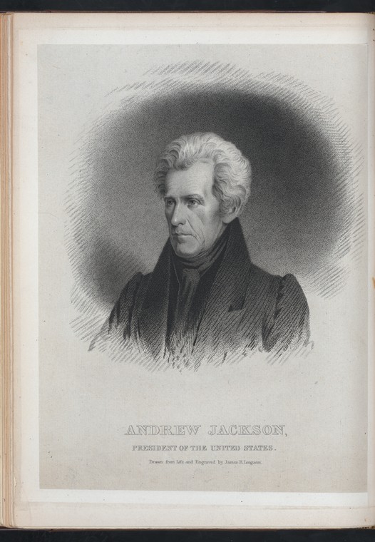 Portrait of Andrew Jackson