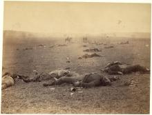 Harvest of Death
